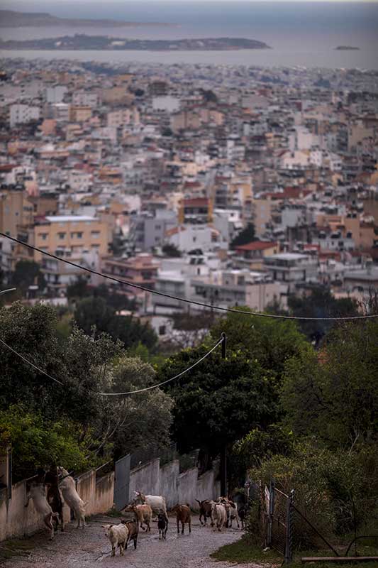 Muhammed Muheisen Cyprus